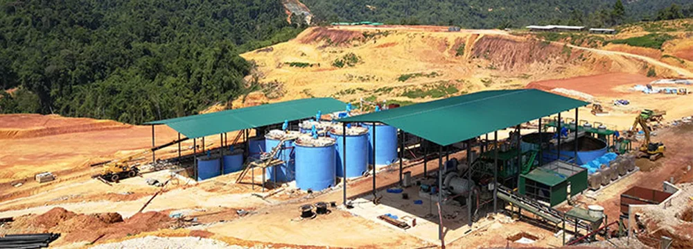 Cuál tipo de planta de procesamiento de oro es adecuada para mí?