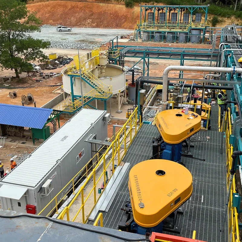 Gold ClP Procesisng Plant